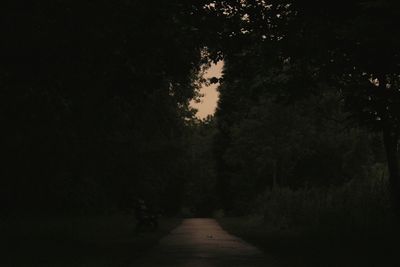 Narrow walkway along trees