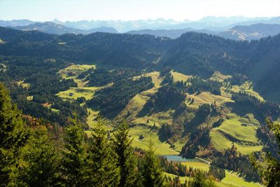 High angle view of trees on landscape against sky