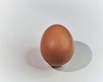 Close-up of egg against white background
