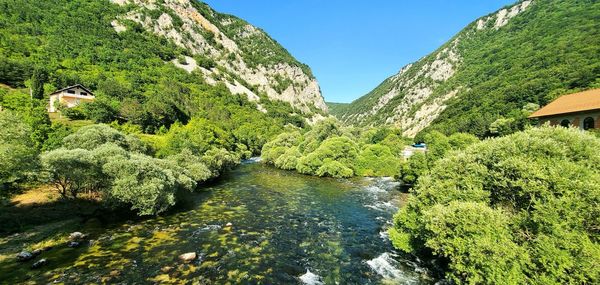 Scenic view of river amidst trees against sky