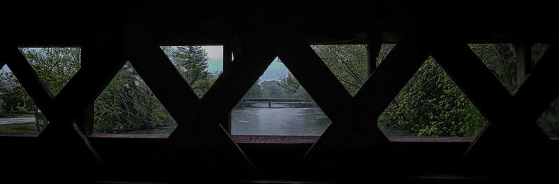 Silhouette trees in park