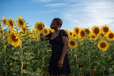 Low angle view of sunflower standing on field
