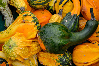 Full frame shot of pumpkins in market