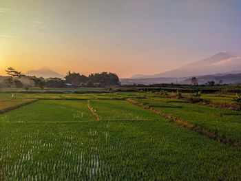 Scenic view of field against sky during sunset