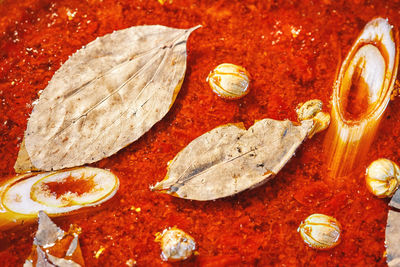 Close-up of dried fruits