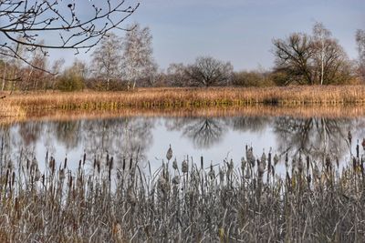 Scenic view of lake against sky