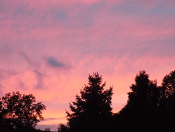 Low angle view of silhouette trees against sky at sunset