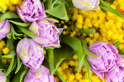 Close-up of purple and yellow flowers in bouquet