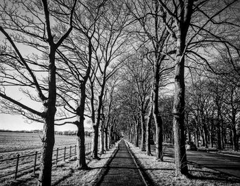 Bare trees by water against sky