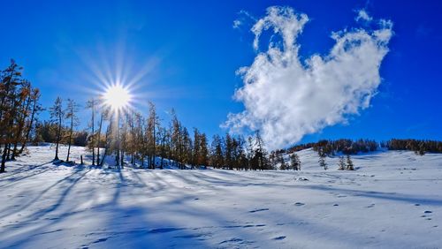 Scenic view of snow covered field against sky