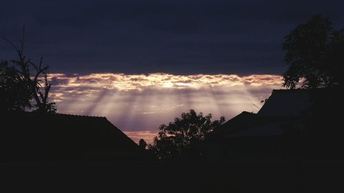 Low angle view of silhouette trees against cloudy sky