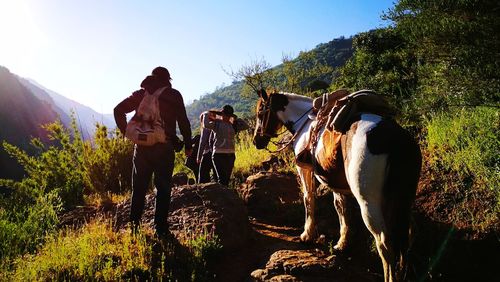 People by plants against sky