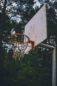 Close-up of basketball hoop against trees