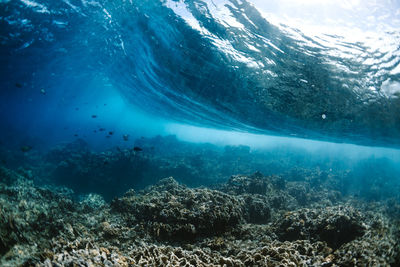 View of sea underwater wave