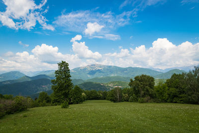 Scenic view of landscape against sky