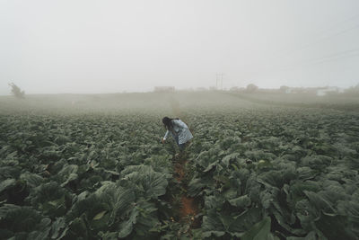 Full length of woman standing in farm