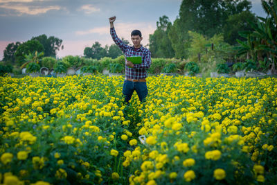 Farmer standing amidst yellow flowers on field during sunset