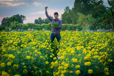 Full length of person on yellow flowers on field