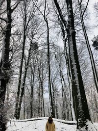 Bare trees on snow covered landscape against sky