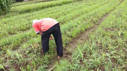 Man working in farm