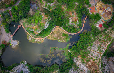 High angle view of trees by sea