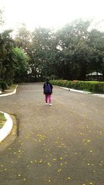 Rear view of child on wet road