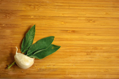 High angle view of leaves on table