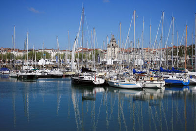 Sailboats moored in harbor