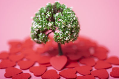 Close-up of heart shape with pink flowers