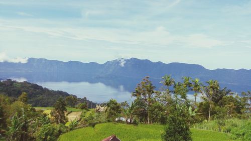 Scenic view of trees and mountains against sky