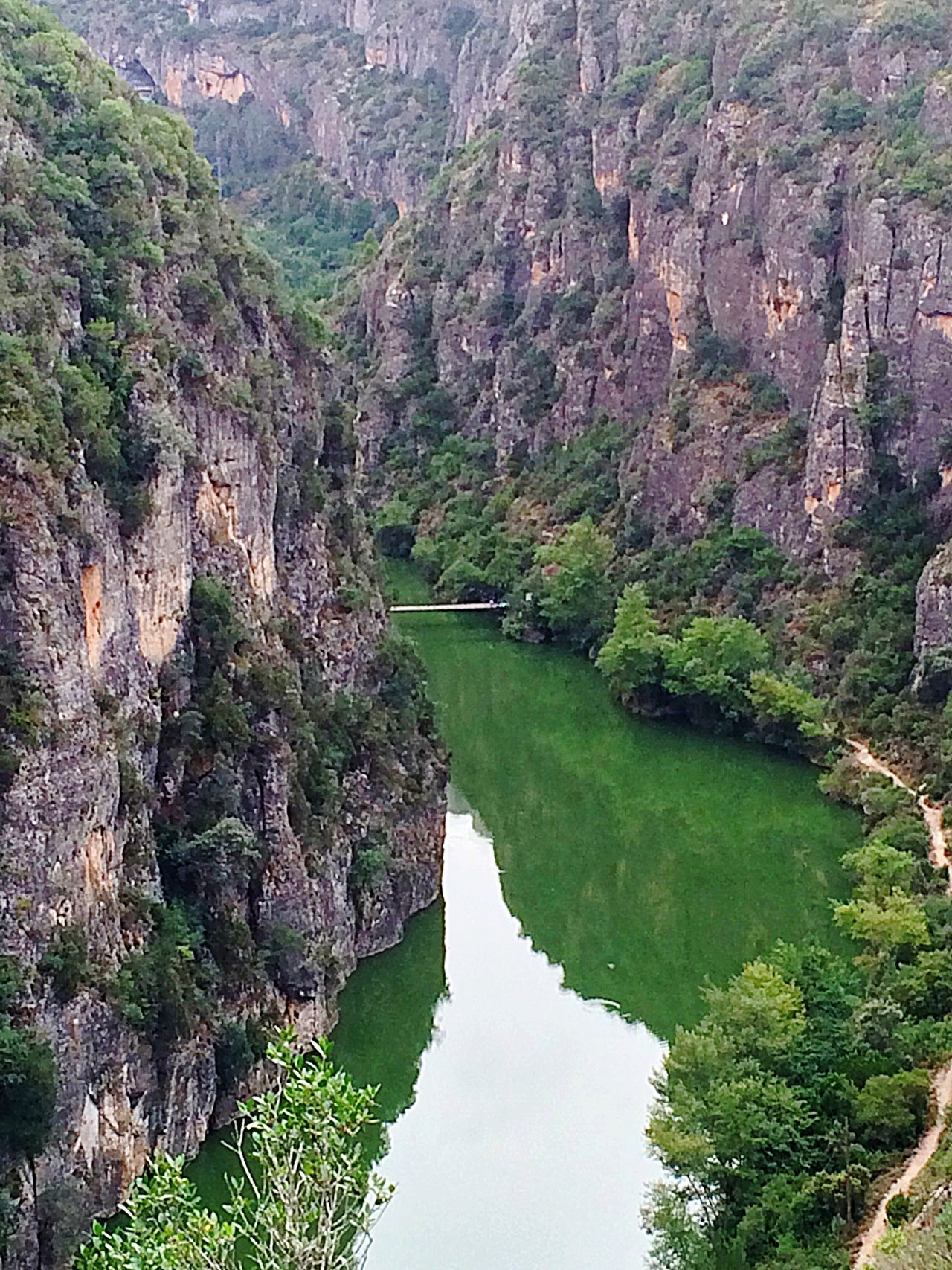 El Moli de Alos