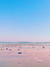 Scenic view of sea against clear blue sky