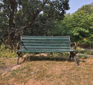 Empty bench against trees