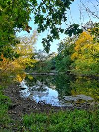 Scenic view of lake by trees in forest against sky
