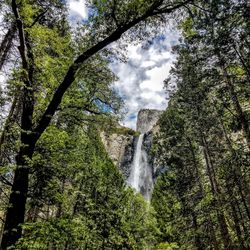 Low angle view of waterfall in forest against sky