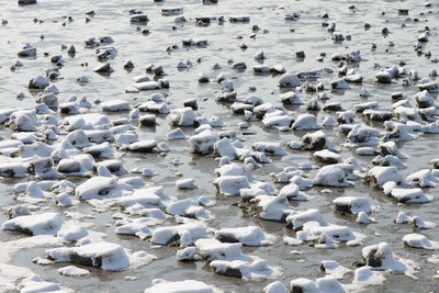 High angle view of birds on beach