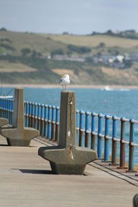 Pier on sea