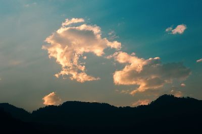 Low angle view of silhouette trees against sky during sunset