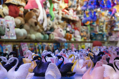 Flock of birds in market for sale