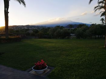 Scenic view of grassy field against sky during sunset