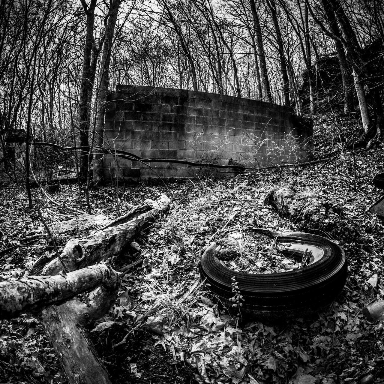 tree, abandoned, forest, obsolete, bare tree, damaged, transportation, old, field, tranquility, run-down, nature, deterioration, mode of transport, no people, day, outdoors, broken, wood - material, destruction