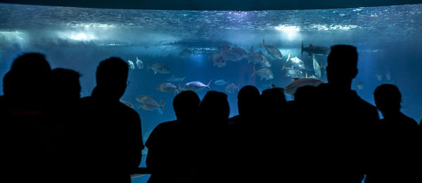 Group of silhouette people in aquarium