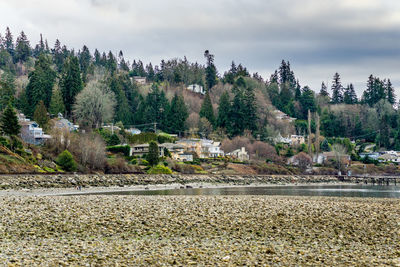 A view of the shoreline of lynnwood, washington at low tide.