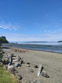 Scenic view of beach against blue sky