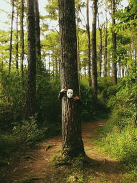 Cropped hands of person holding mask while hiding behind tree in forest