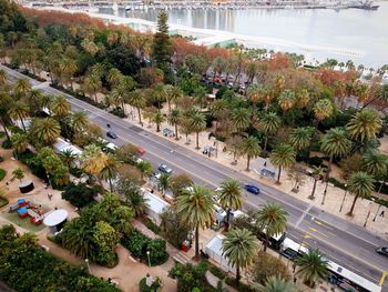 High angle view of palm trees on road in city