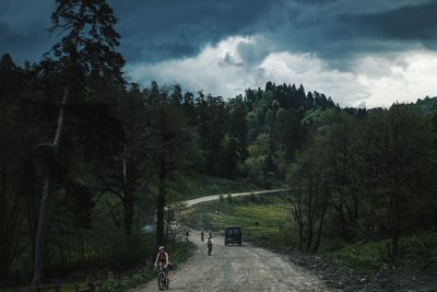 Panoramic view of road amidst trees in forest against sky