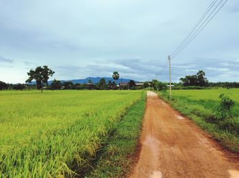 Dirt road amidst agricultural field against sky