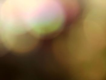 Defocused image of blurred background