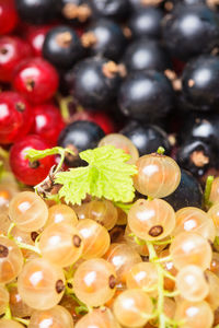 Full frame shot of fruits